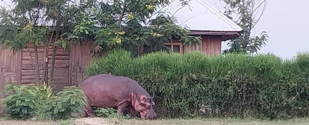 Tembo Safari Lodge Katunguru Екстериор снимка